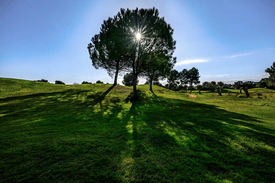portals-hills-golf-courses-mallorca